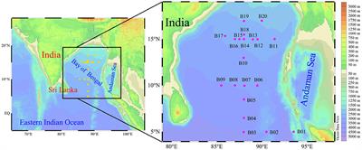 Fast Repetition Rate Fluorometry (FRRF) Derived Phytoplankton Primary Productivity in the Bay of Bengal